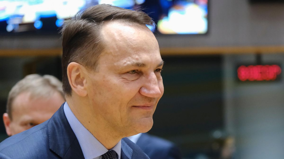 Polský ministr zahraničí Sikorski si umí představit vojáky NATO na Ukrajině
